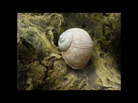 Bródy János ~ Akit a hazája nem szeretett !