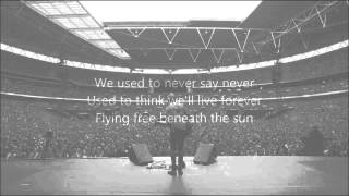 Passenger - When We Were Young (lyrics on screen)