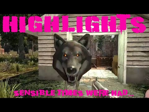 Sensible Times - Stream Highlights Feb 2023