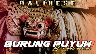 Download lagu Remix Dj burung puyuh X burakbalkan - Riski Irvan Nanda 69 project mp3