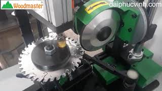 MÁY MÀI LƯỠI CƯA ĐĨA TỰ ĐỘNG WOODMASTER