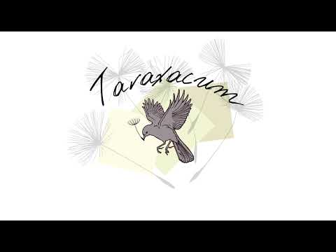 | Taraxacum - A Playlist |