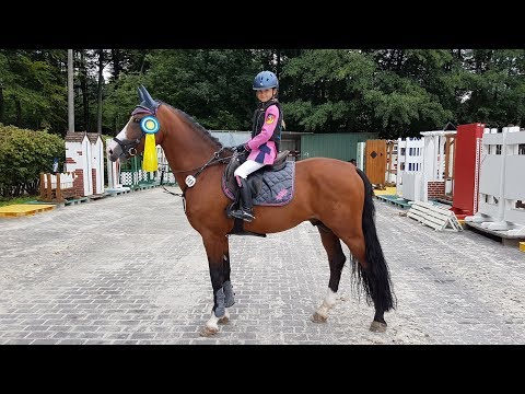 Malu (8) und Monte - SIEG in Kl. A** in Montabaur-Horressen am 28.07.2017