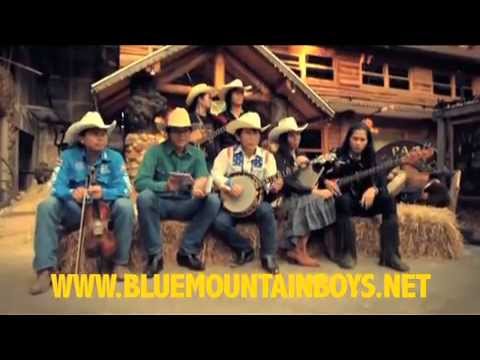 Blue Mountain Boys - Vol.4 - Pure Bluegrass