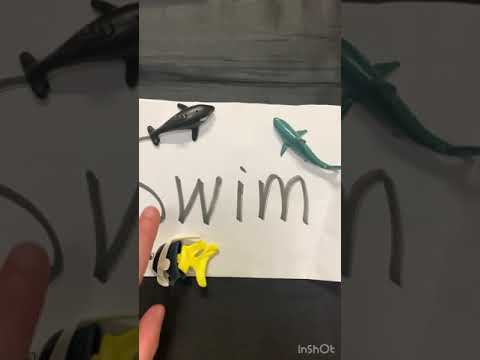 Topic 6 ( animals move)