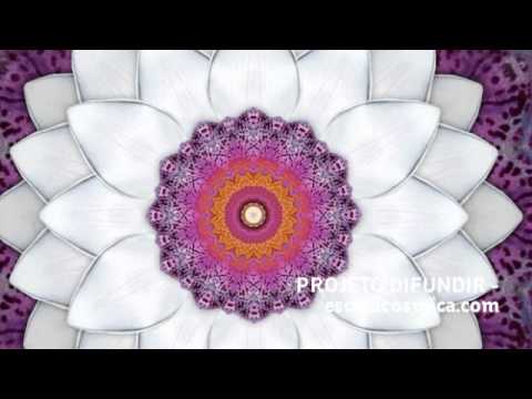 25 Peço Força - Hinário Flores de São João - Cristina Tati