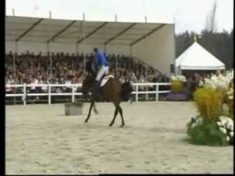 Eurocommerce Canturano