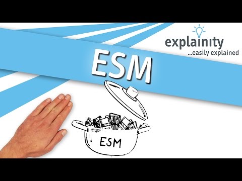 ESM simply explained (explainity® explanatory video)