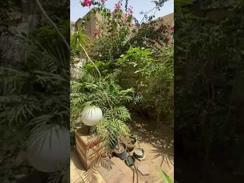 Ground floor apartment rent maadi Cairo Egypt degla 4 bedroom 3 bathrooms