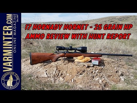 17 Hornady Hornet – 25 Grain HP Ammo Review with Hunt Report