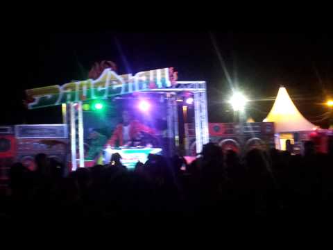 George Palmer dubplate Heartical Sound Rototom2014