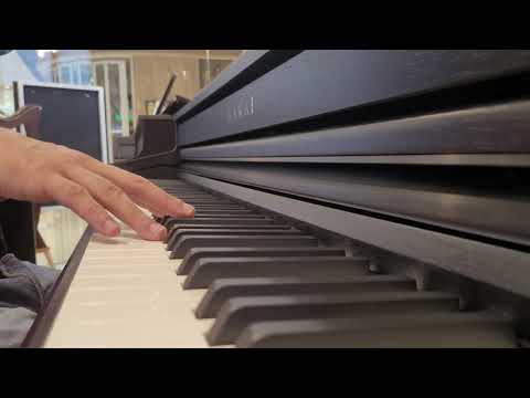 Kawai ca59 initial impressions -v light action. Default sound SK Concert Grand selected. Rec'd in 4K