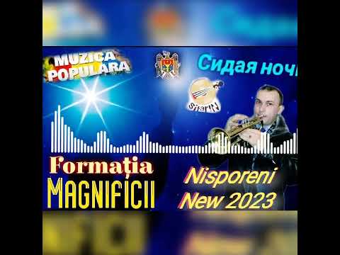 Formația Magnificii Nisporeni New 2023 ReMix - Trompeta Сидая Ночь. (Юрий Шатунов).