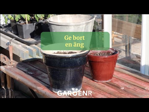 Give away a meadow - Gardenhacks by GardenR
