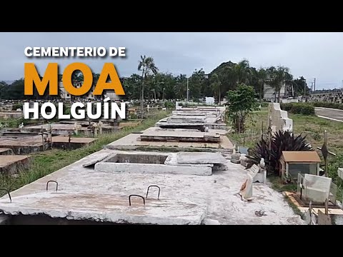 TUMBAS abiertas, RESTOS mezclados: imágenes IMPACTANTES del CEMENTERIO de Moa, Holguín