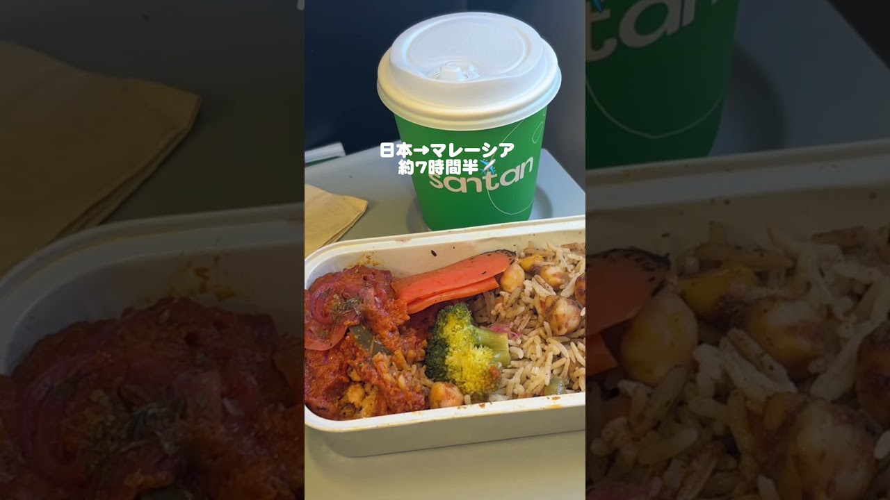 初の長距離飛行機過酷すぎた