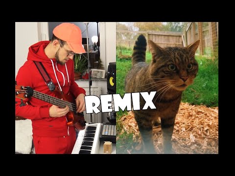 SCOTTISH WILD CAT live looping remix BASS