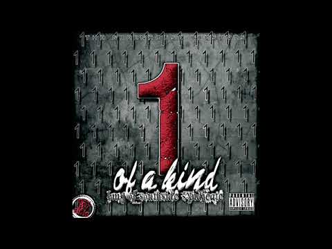 BmG ft Damnfool - All We Do is Fight