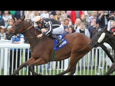 Baden-Baden: 84. Darley Oettingen-Rennen (Gruppe 2)