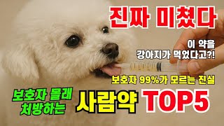 "진짜 미쳤다… 이 약을 강아지가 먹는다고?! 보호자 99%가 모르는 진실"【동물병원 안 가고 해결하는 강아지 응급처치 꿀팁!】