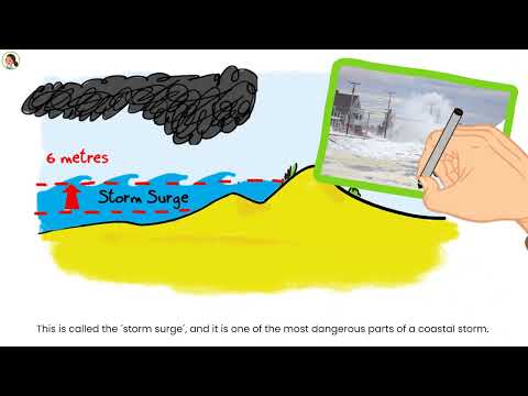 Coasts for Kids Episode 2