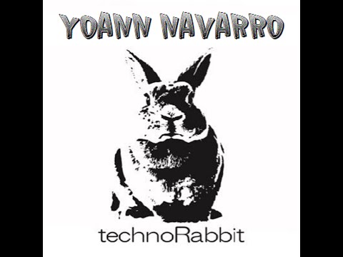 Techno Rabbit