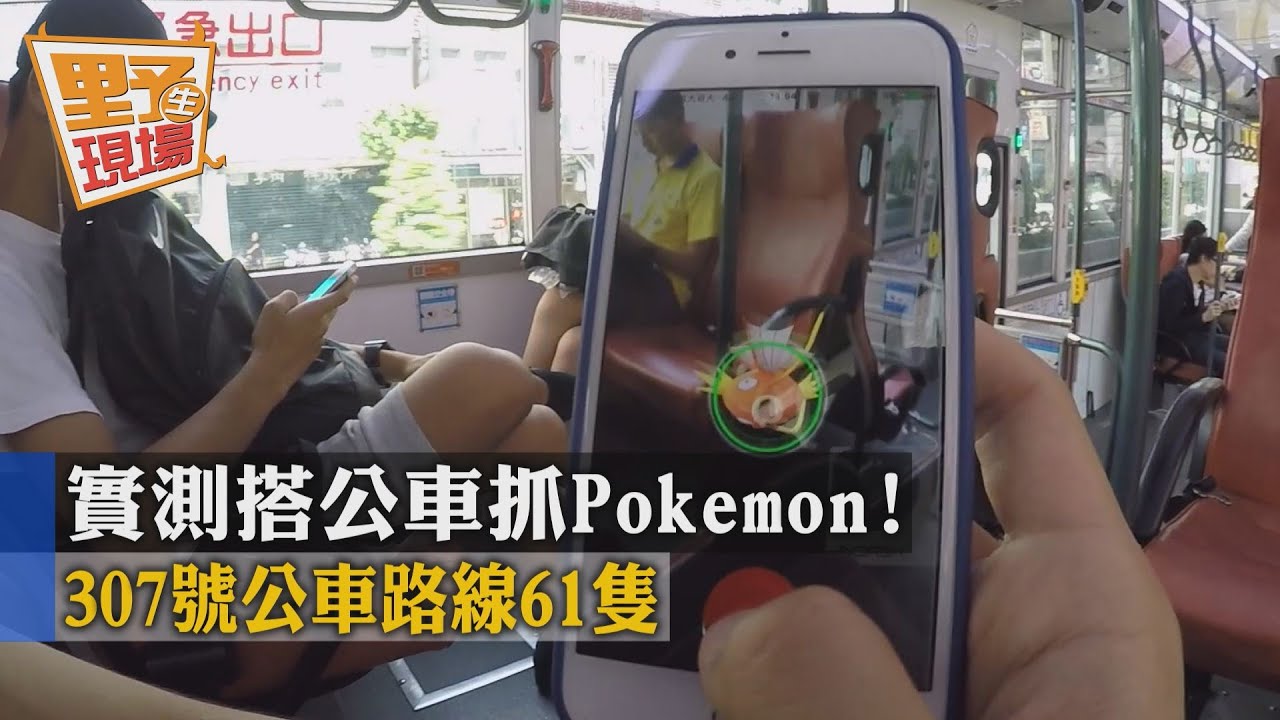 「抓寶」選公車！307號路線最吃香