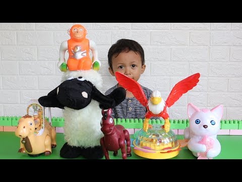 Eagle, Orangutan, Camel, Donkey, Cat & Sheep - Learning Animals names while Playing