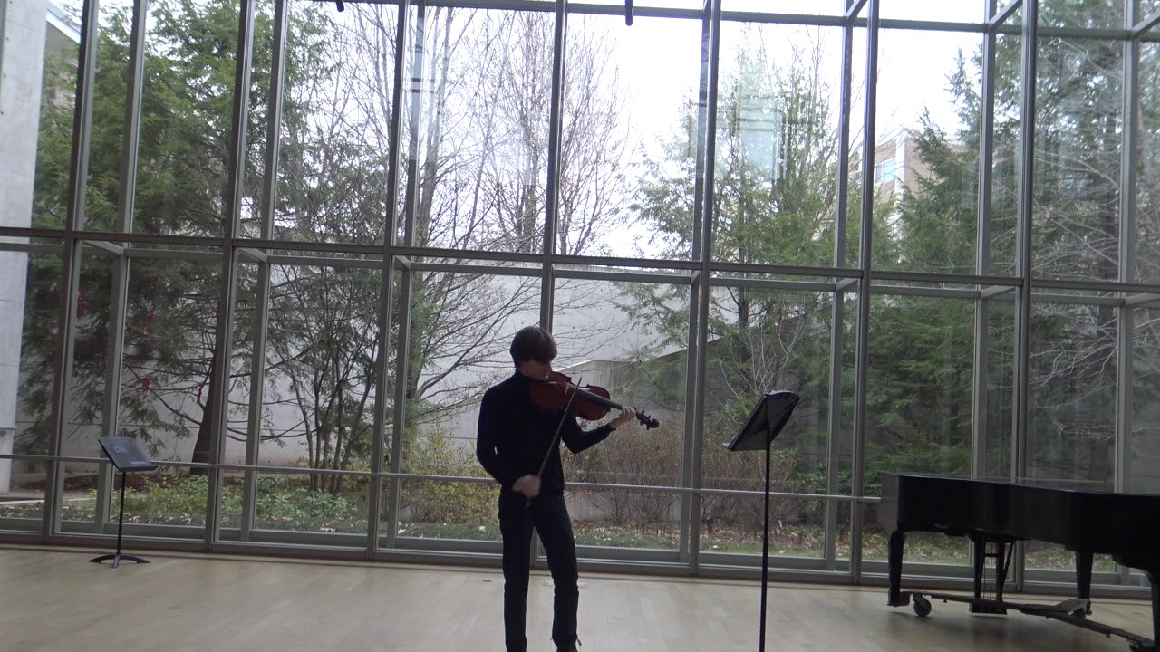 Promotional video thumbnail 1 for Violist For All Occasions