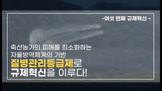 축산농가의 피해를 최소화하는자율방역체계의 기반 질병관리등급제 | 2021 규제혁신