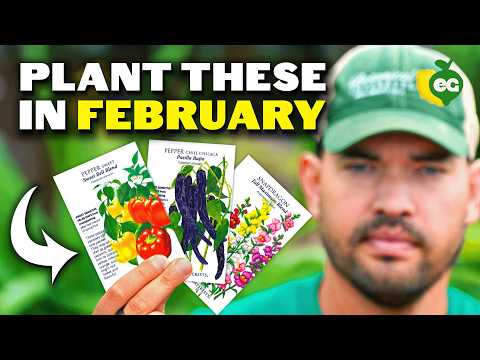 14 Crops You'd Be WILD Not To Plant in February!