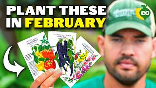 14 Crops To Start Planting In February