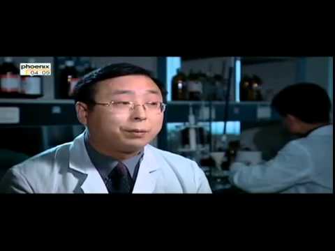 Die Drachenflotte des Admirals Zheng He - Gigant der Meere - Teil 2