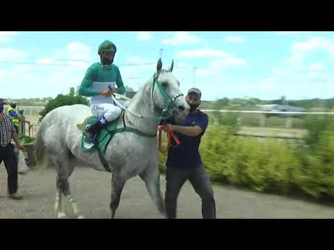 201119 c01 1° NAPOLEON CARVER MR -   SINT- FLORIDA