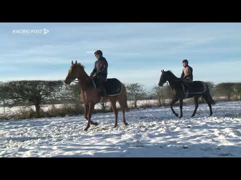 Christmas Hurdle: Buveur D'Air