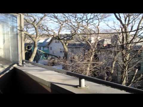 147 Kelton Street, Allston, Massachusetts Presented by John Campbell.