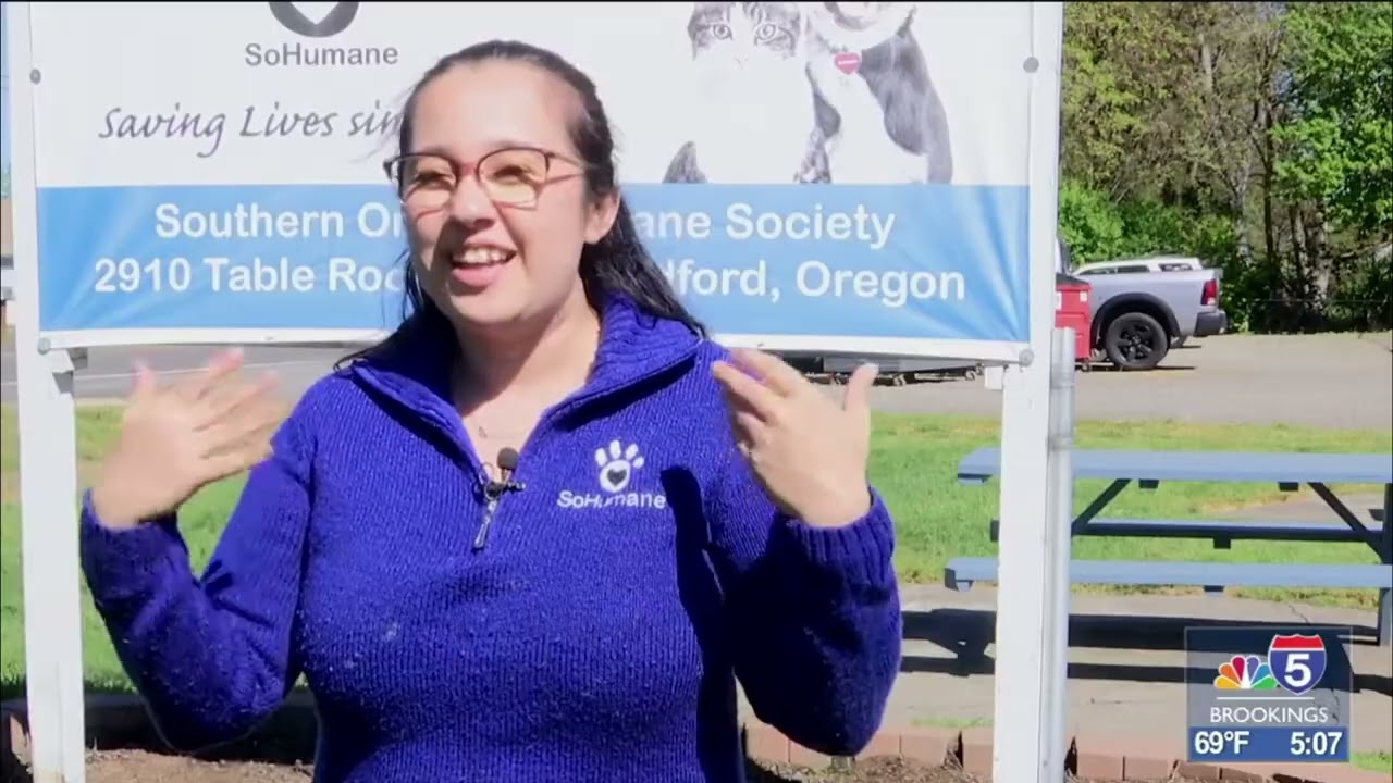 ASPCA gives tips on pet safety over Easter weekend