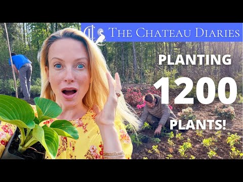 1200 PLANTS in 3 DAYS! The TRANSFORMATION of a WASTELAND into a CHATEAU GARDEN