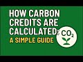How Carbon Credits Are Calculated A Simple Guide