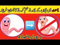 1 Mint Men Bacho K Chamoony Fori Khtam Krne Ka Purana Triqa Eliminate Pinworms In Seconds