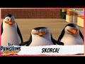 The Penguins Of Madagascar Full Episode Skorca