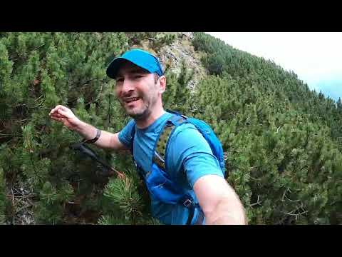 Brâul de Mijloc / Brâul Mare al Morarului