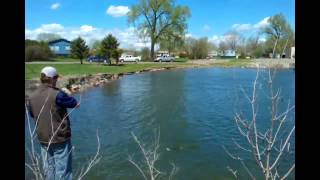 20 minute angler and friends find some walleyes!