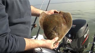 Fishing for Flatfish - Rigs Tips & Tactics - C