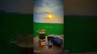 Download lagu MBAH SURIP kurangi tidur banyakin ngopi mp3