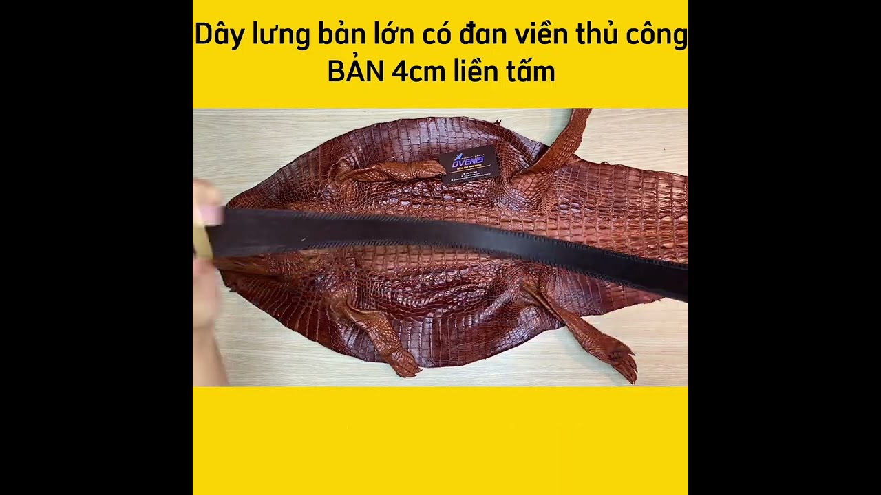 Dây thắt lưng cá sấu bản lớn có Đan viền thủ công. Cắt liền tấm da bụng cá sấu siêu bền!