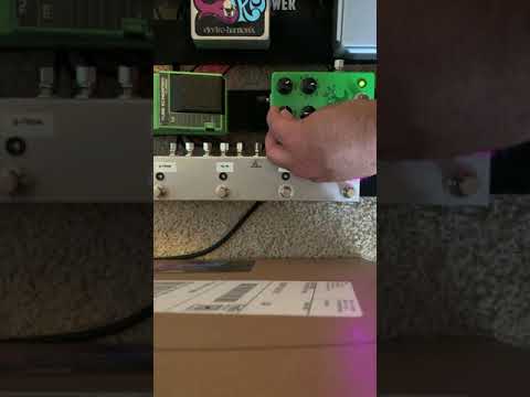Ibanez TS10 MIT vs Bonsai