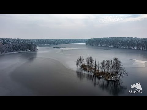 Puszcza Notecka zimą w okolicach Sierakowa