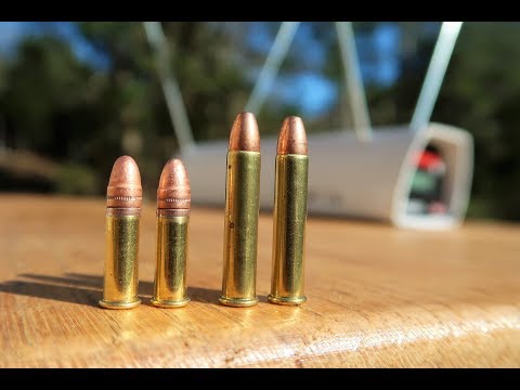 22lr vs 22 magnum - Chronograph video