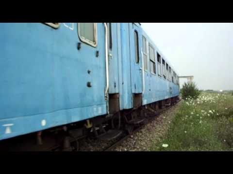 P 7036 Urziceni - Bucuresti Nord via Mogosoaia, 19.07.2010